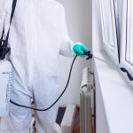 Repairing Pest-Related Damage: Can Pest Control Services Help?