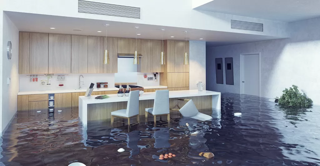 water damage insurance claim sheet